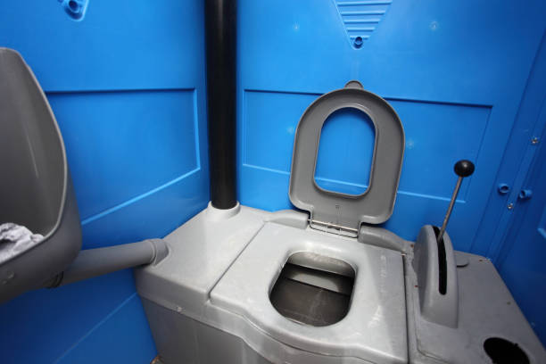 Best Sanitation services for porta potties  in Benton Harbor, MI
