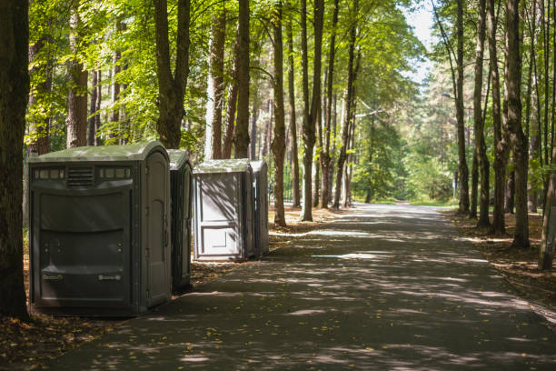 Affordable portable toilet rental in Benton Harbor, MI